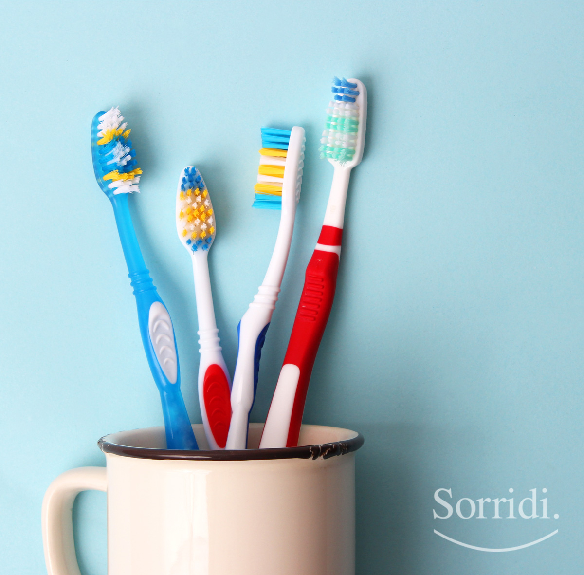 https://ticinoweb02.jcloud.ik-server.com/wp-content/uploads/sites/192/2020/09/Sorridi-ch-magazine-pulire-e-sostituire-lo-spazzolino-da-dentilocarno.jpg